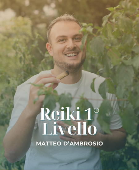 Matteo D'Ambrosio - Armonia Academy